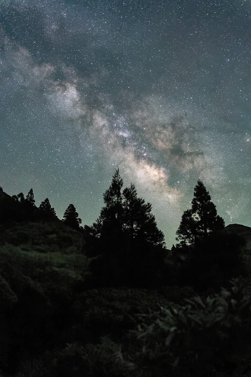 Milky Way Expedition
